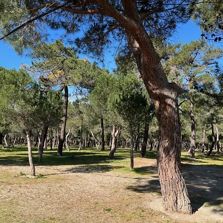 Apartament Vermeille *